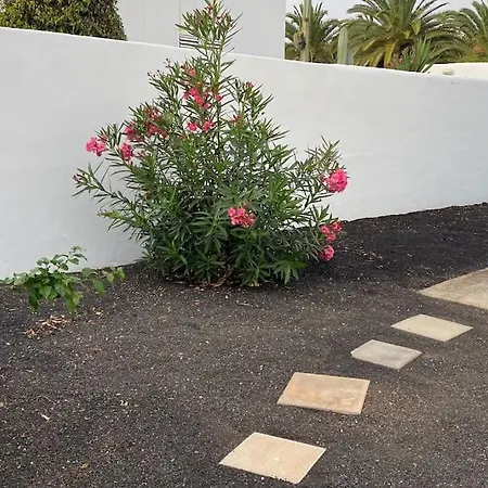 Casa Chinchorro * Коста-Тегисе